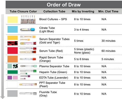 dark and light bottle tests|Updated Phlebotomy Tube Color Chart and Test .